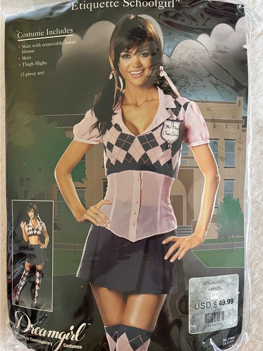 Dreamgirl School Girl costume - sz L